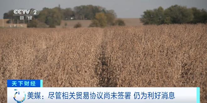 农产品贸易网_中美吉隆坡经贸磋商_中美扩大农产品贸易达成共识