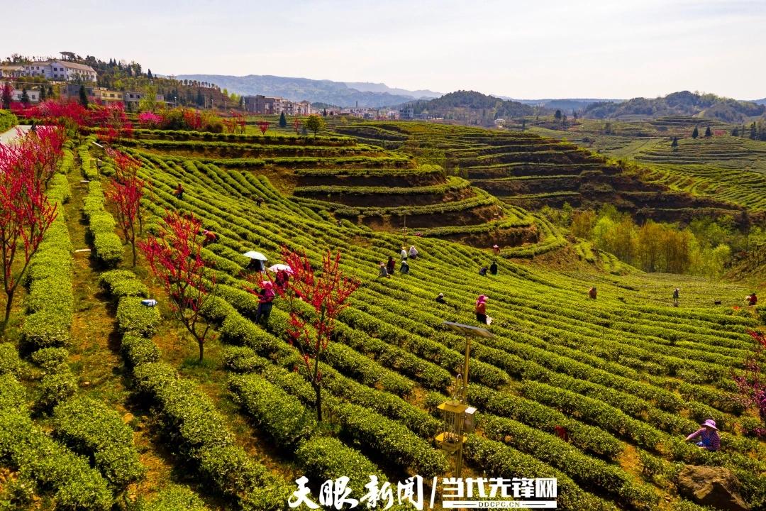贵州六盘水产业振兴_农产品 初加工_六盘水现代农业产业园