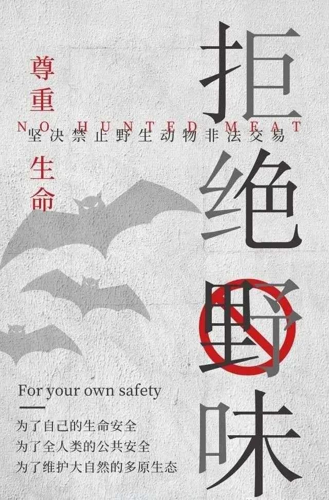 全面禁食野生动物新规出台！八条规定详解，法律保障如何完善？