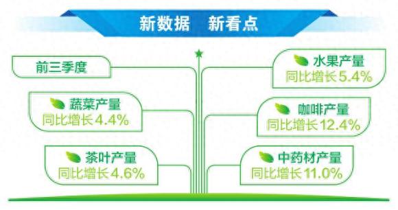 云系农业稳增长！前三季度产量飙升，高原特色产业韧性强劲