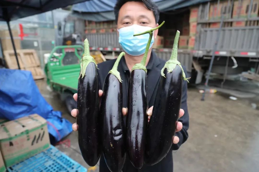 茄子价格暴跌！从3元高峰回落至2元，供应商提醒：理性采购避免市场波动