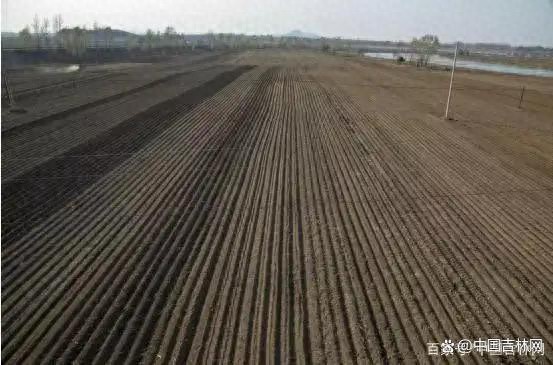 黑土地保护进行时：探秘梨树模式，秸秆还田如何守护耕地中的大熊猫？