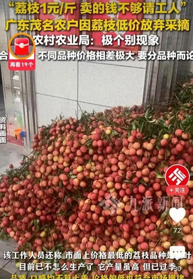 农产品滞销的原因_丰收滞销农业困境_农业供需失衡问题