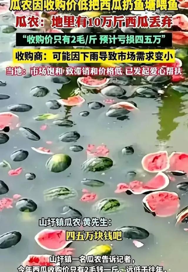 农产品滞销的原因_农业供需失衡问题_丰收滞销农业困境