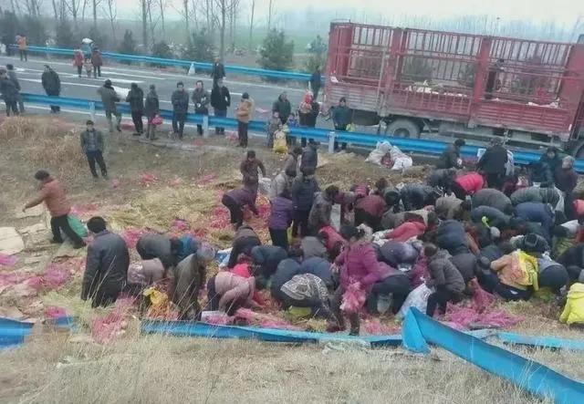 农业供需失衡问题_丰收滞销农业困境_农产品滞销的原因