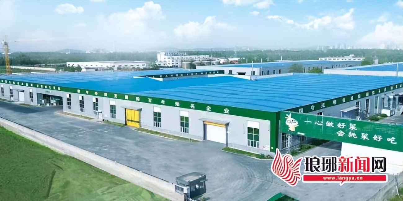 科技赋能农产品高端化转型_兰陵经济开发区绿色果蔬加工产业集群发展_农产品加工配送