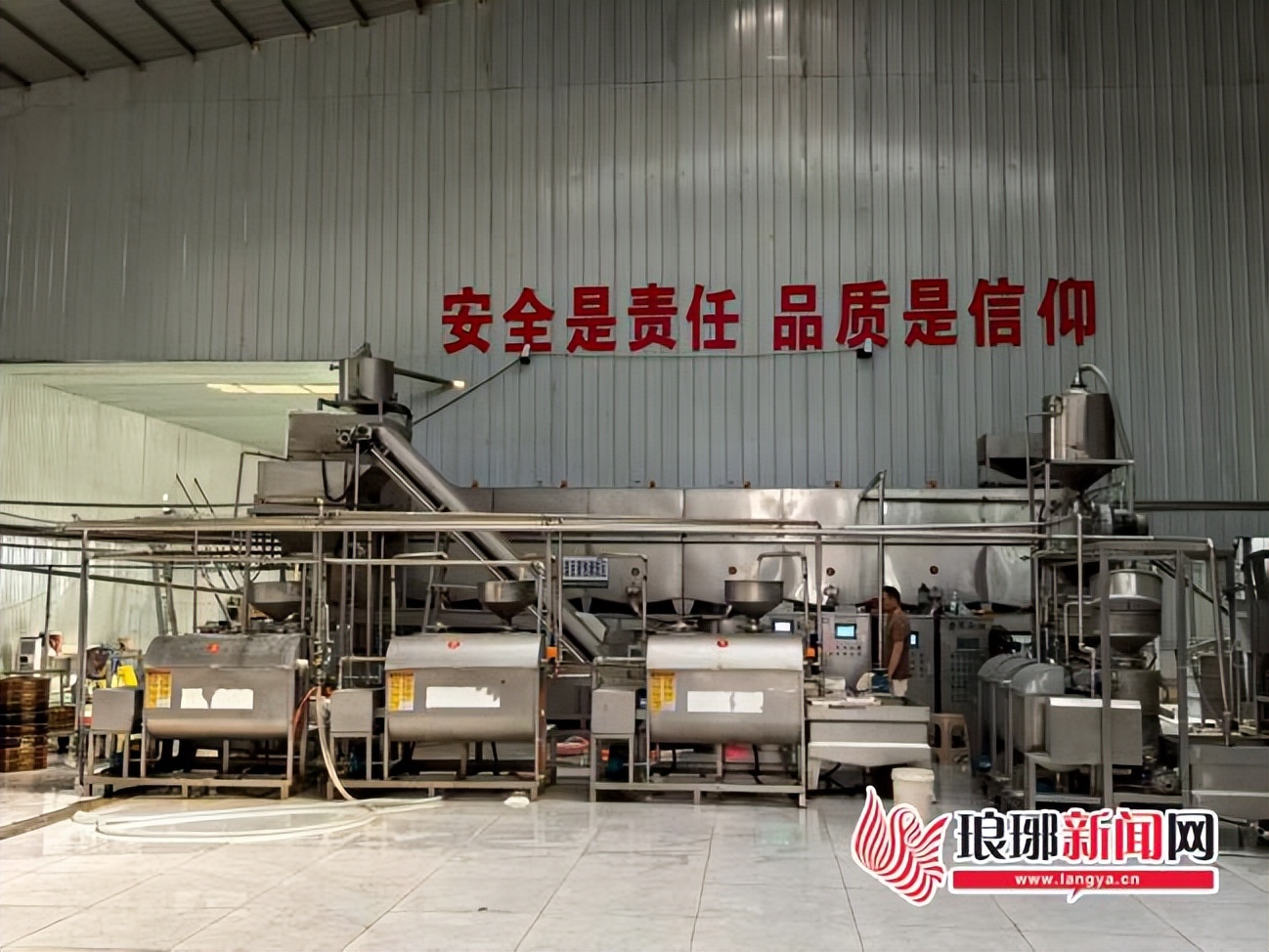 兰陵经济开发区绿色果蔬加工产业集群发展_农产品加工配送_科技赋能农产品高端化转型