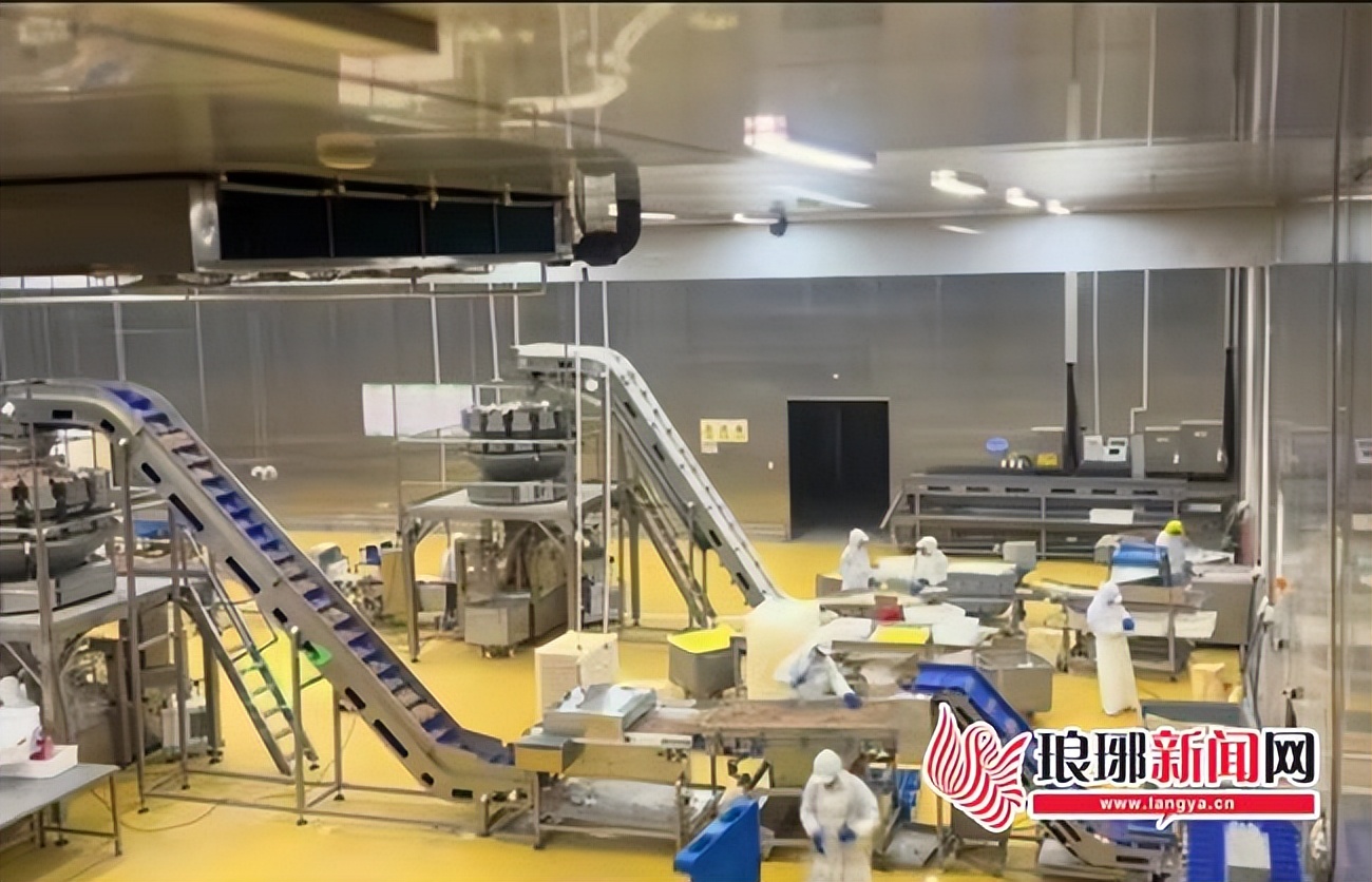 科技赋能农产品高端化转型_农产品加工配送_兰陵经济开发区绿色果蔬加工产业集群发展