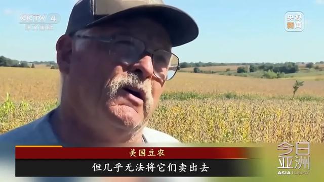 农产品滞销的原因_中国停止购买美国大豆原因_美国大豆滞销困境