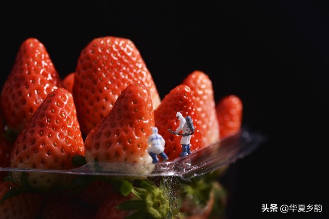 农产品质量安全追溯全链路_农产品安全溯源_农产品质量安全追溯体系小程序建设