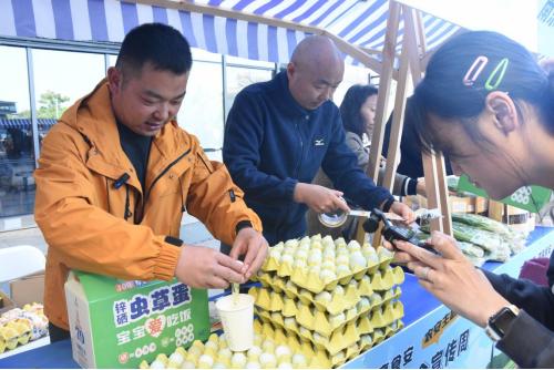 绿色农产品加盟_南京绿色优质农产品推广活动_浦口区市民中心广场农产品展销