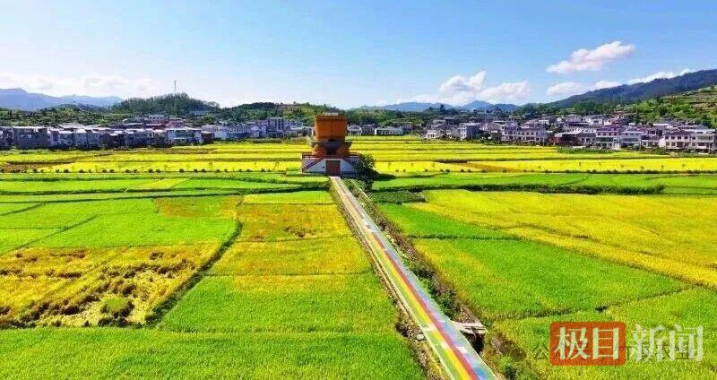 农产品基地_竹溪茶叶生产基地_湖北省优质农产品生产基地认证