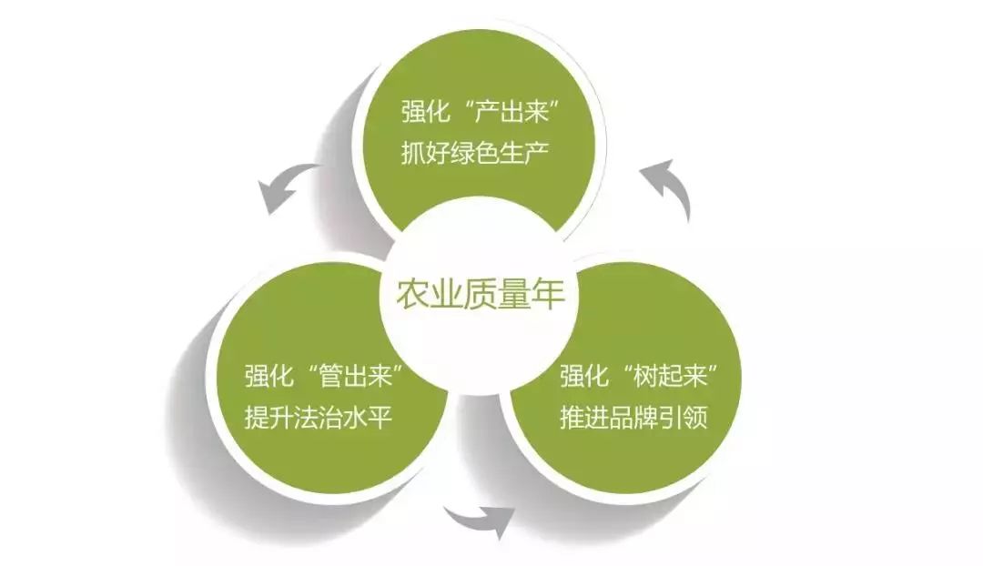 国家农产品质量安全县创建活动_农产品安全标准_农产品质量安全监管