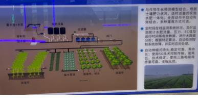 2025中国河南东盟粮农合作发展大会_2025中国东盟农产品_第四届一带一路河南国际农业合作博览会