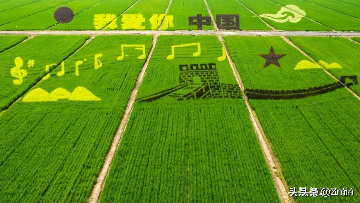 农产品商标名称大全_农产品地理标志登记管理_地理标志产品权益保护