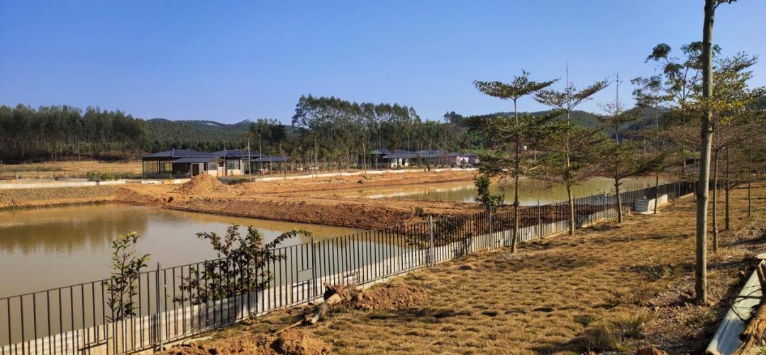 无公害农产品生产基地_南宁市桂福春农民专业合作社_广西绿色优质农产品生产基地