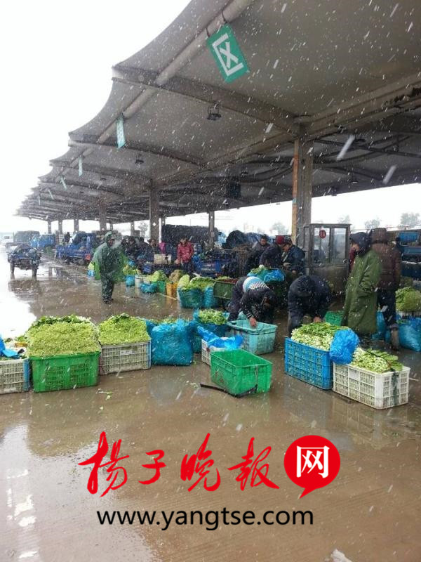 南京农副产品物流中心：开设绿色通道，保障蔬菜供应！应对雨雪天气，确保量足价稳