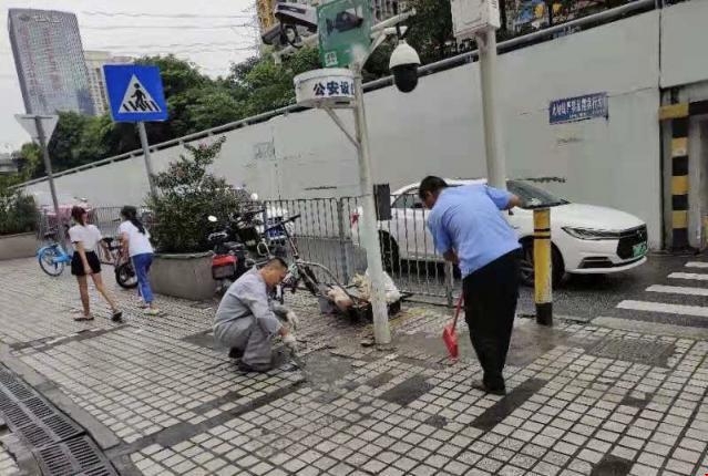 深圳罗湖区创建全国文明城市_布吉农产品中心批发市场_罗湖区东晓街道文明城市创建工作