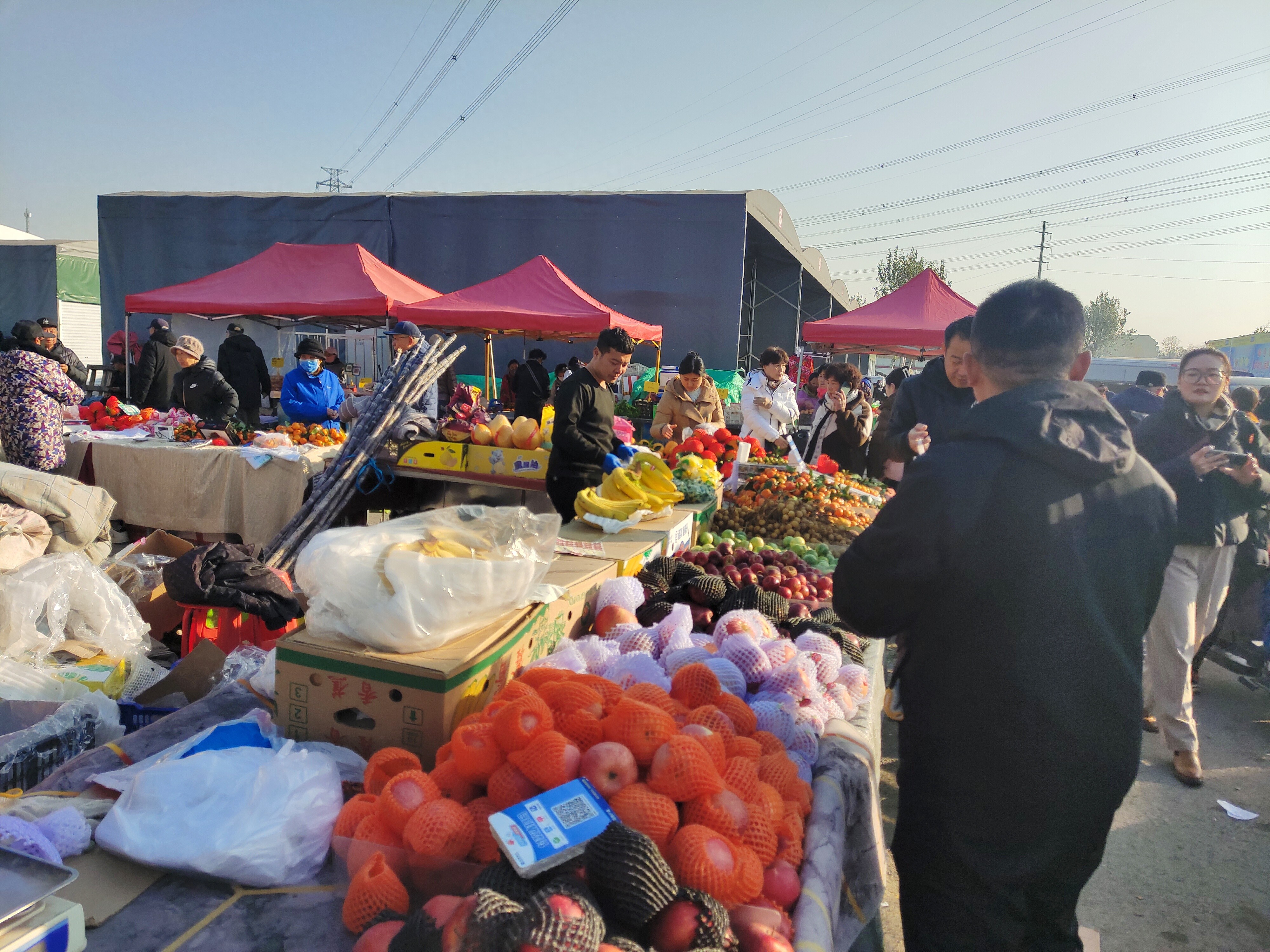 新发地市场大集开业：果蔬价格直降30%，紫菜花等稀有食材惊喜亮相