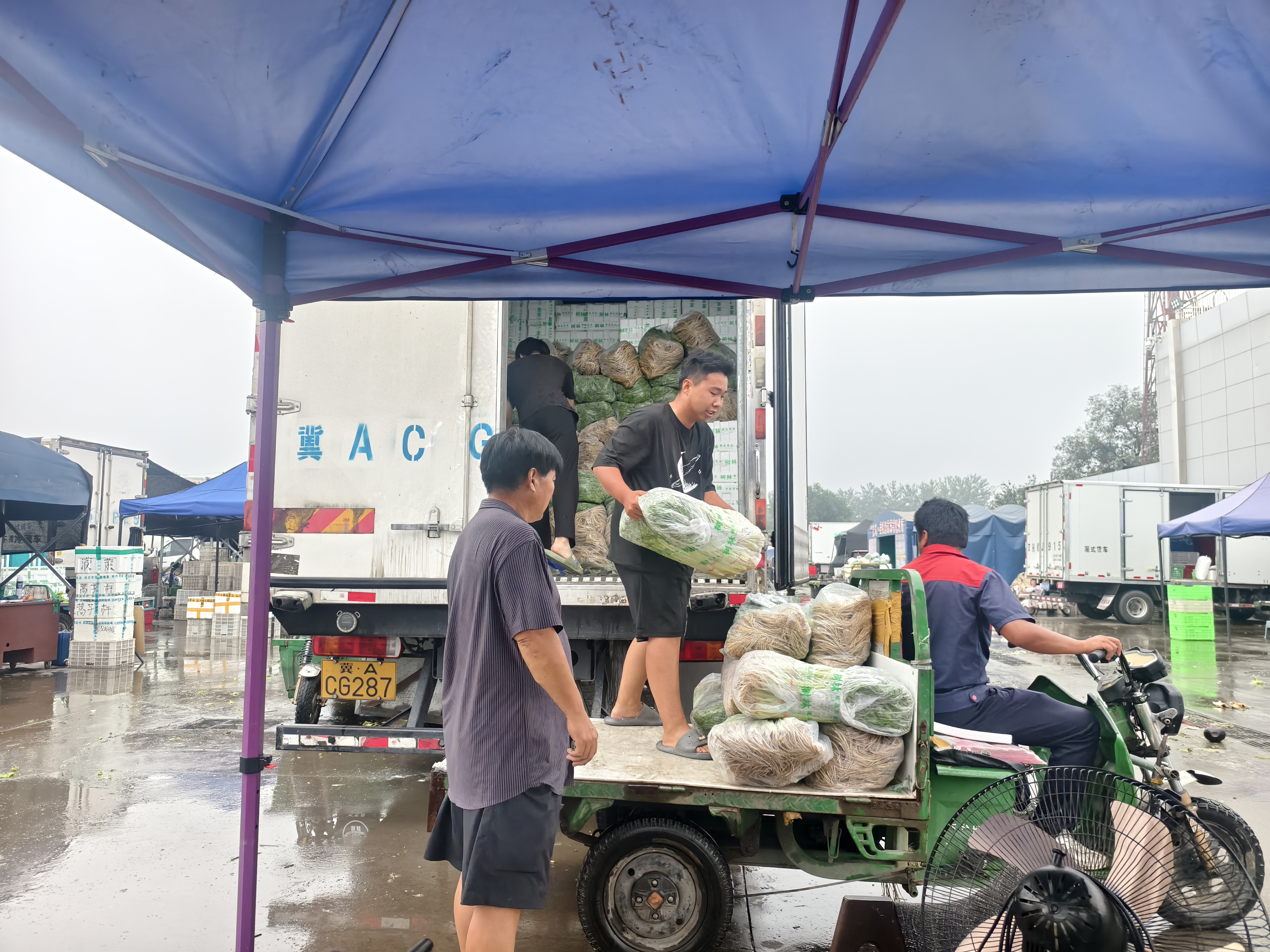 新发地农产品_新发地市场蔬菜价格稳定_新发地市场水果供应充足