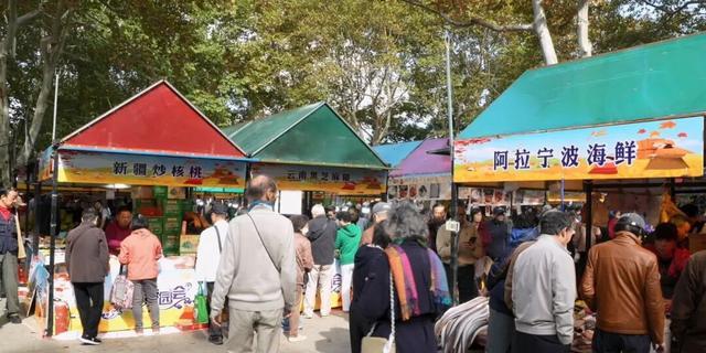 农产品营销实战第一书_农产品推广_文化旅游