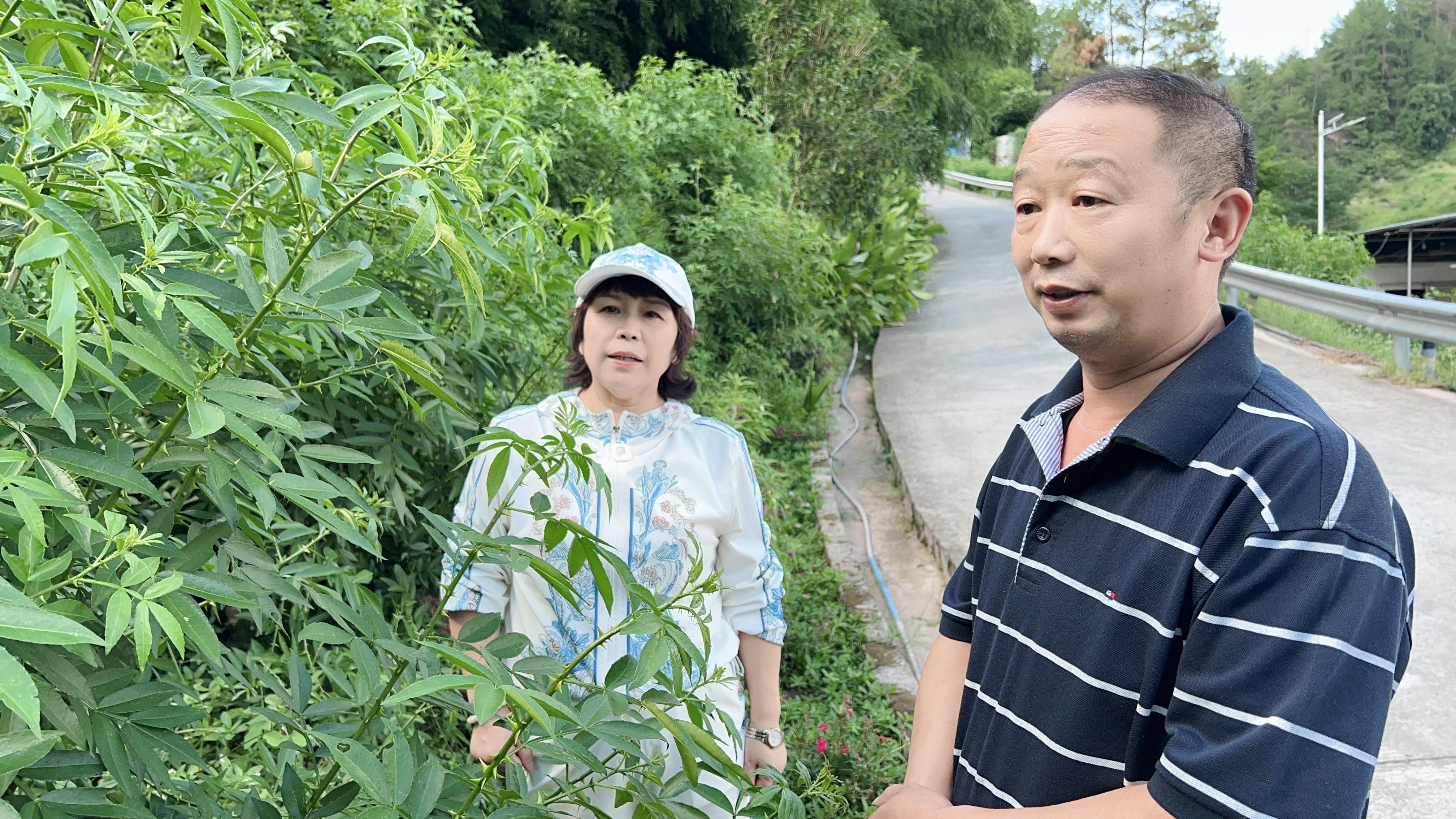 农产品交易网app哪个好_智农链科农产品供销链商_帮扶地区农产品直供平台
