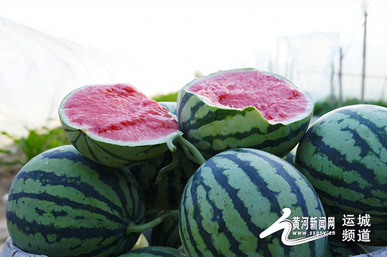 运城助农直播来袭！夏县西瓜、水蜜桃、甜瓜等特色农产品，甜蜜实惠享不停