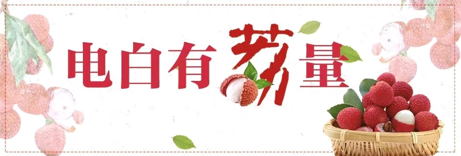 从三月红到八月红：电白荔枝产业升级之路，延长上市期、提升附加值