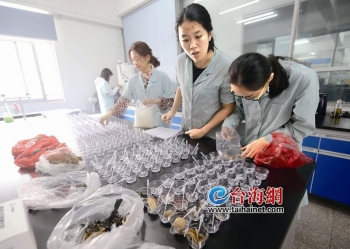 夏商中埔农产品批发市场改造升级_厦门农产品_厦门农产品物流中心新标杆