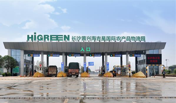 长沙黄兴海吉星：跃升全国最大蔬菜枢纽，保障全省80%菜篮子