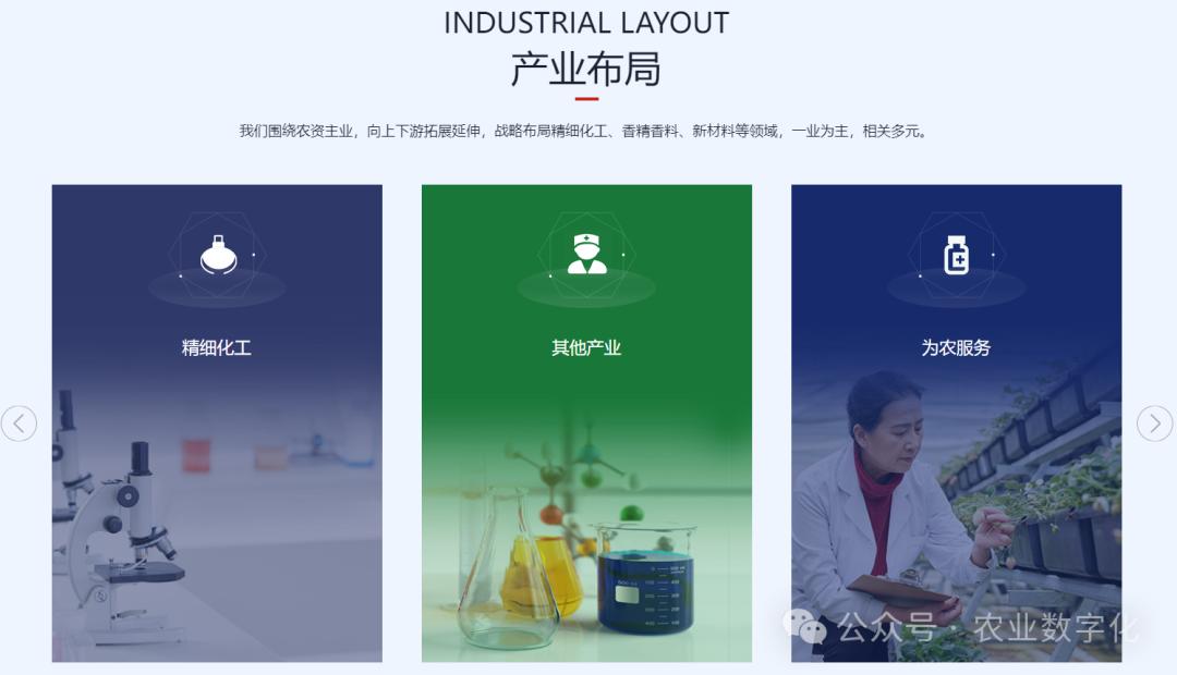 数字化进度_农业企业业务范围_农产品代理网