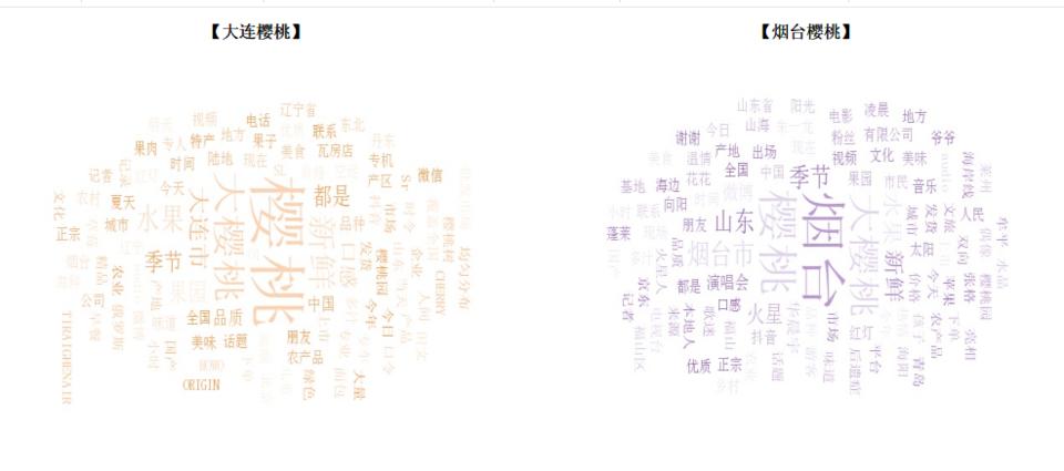 大连农产品价格表_大连樱桃产业传播分析_烟台樱桃产业传播分析
