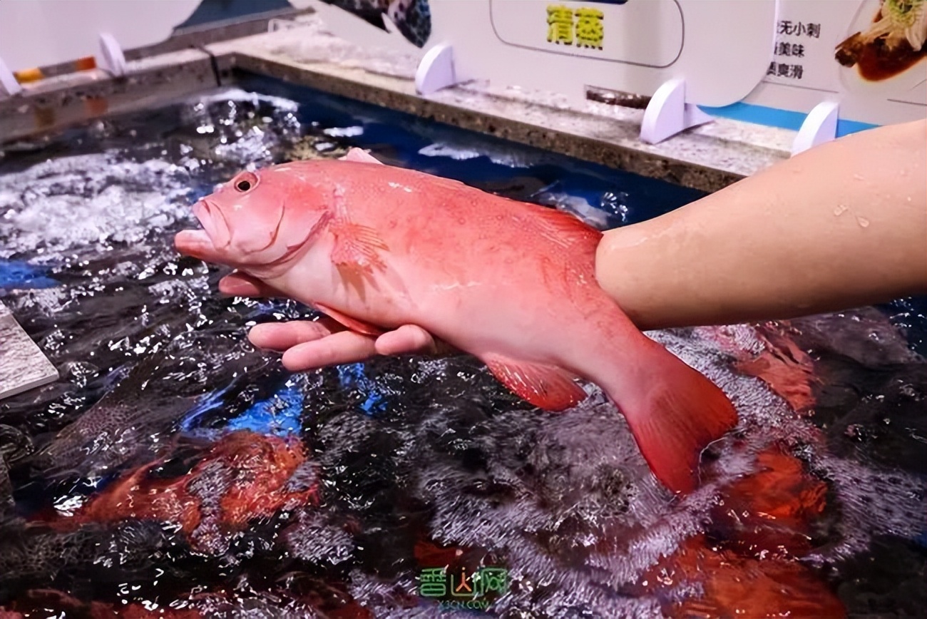 珠海盒马鲜生首店开业_珠海盒马鲜生发展历程_珠海农产品配送