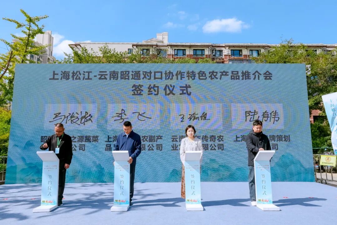2025上海市松江区对口协作昭通特色农产品推介会_昭通特色农产品松江推介会成果_安徽 上海农产品展销会