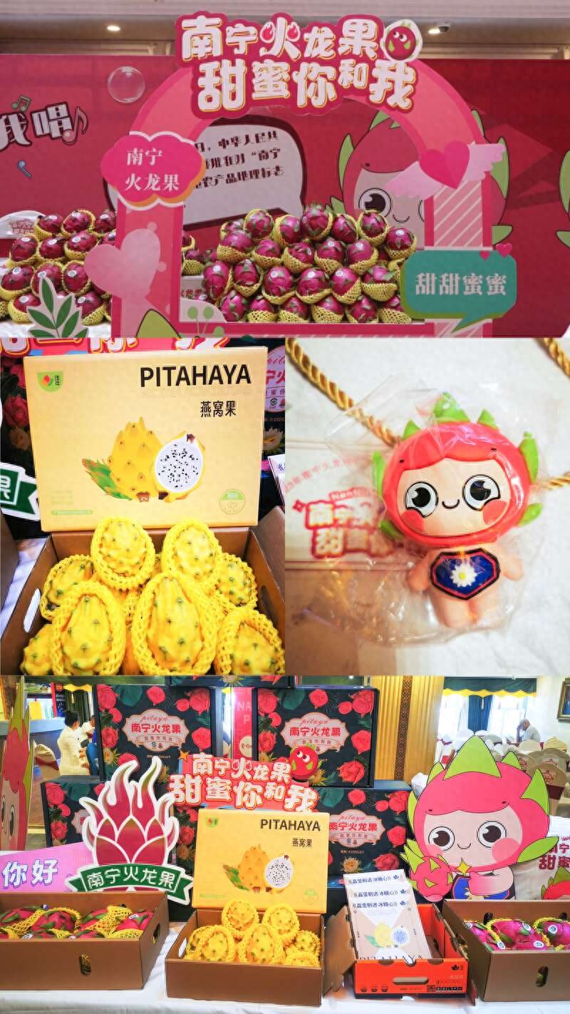 南宁火龙果品牌之路：从全国最大产地到知名品牌的跨越发展