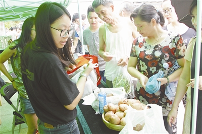 珠海菜篮子新增怒江高原土豆，农产品配送直达市民餐桌