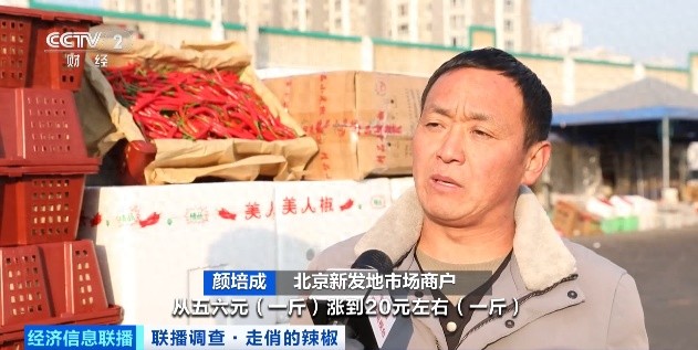 冬日辣椒价格上涨，云南砚山干辣椒市场交易火爆