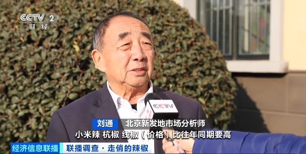 近期辣椒价格上涨_云南农产品交易网_云南辣椒价格涨幅