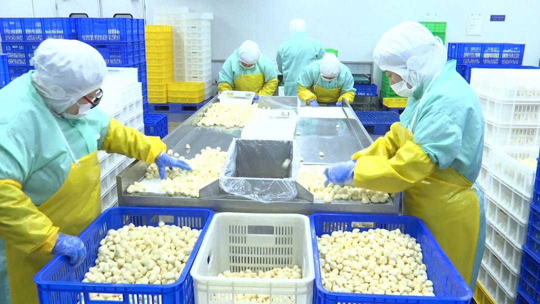 农产品生产企业_安丘生态农业质量安全_安丘农产品出口