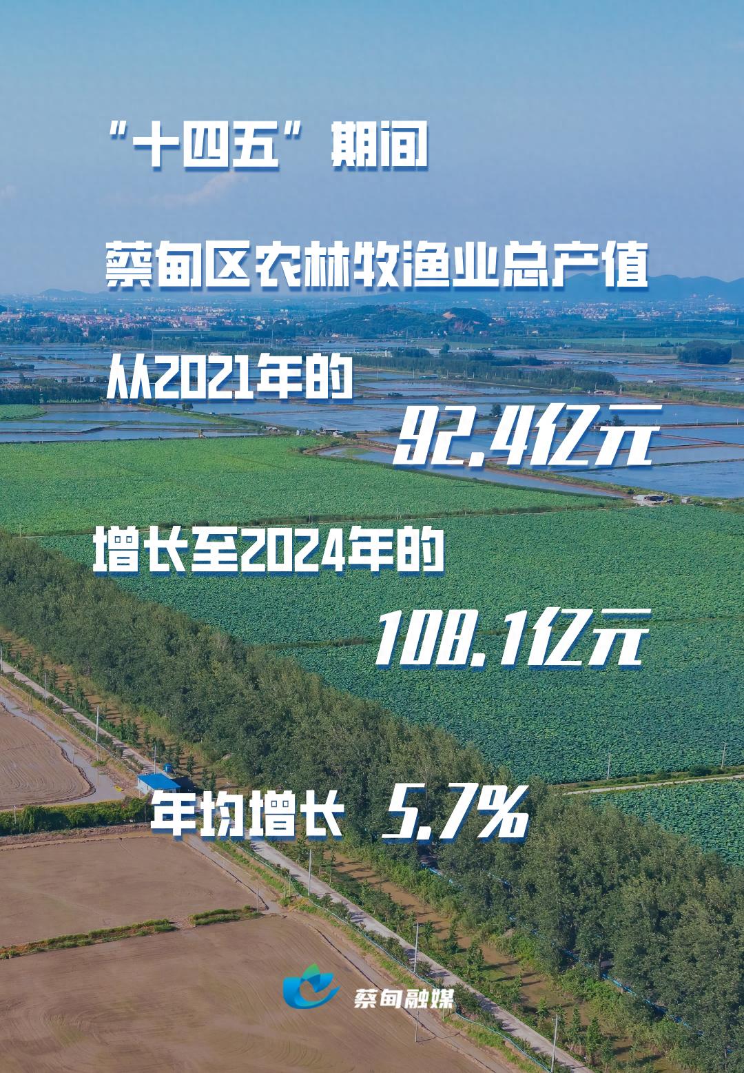蔡甸区大力发展农产品加工业，农产品品牌影响力持续提升
