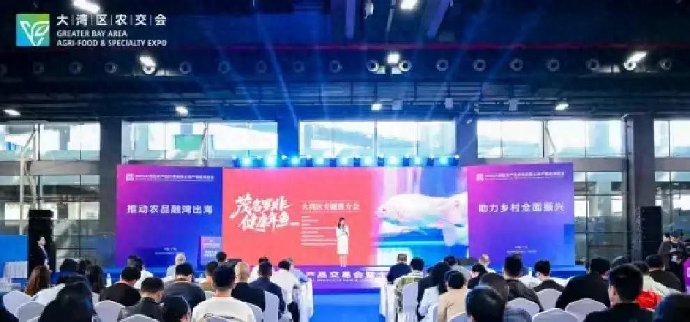 2025大湾区农产品交易会：茂名罗非鱼成全场焦点，背后原因几何？