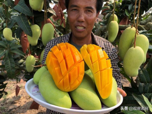 疫情下农产品滞销咋整？中国吃货和淘宝出手啦