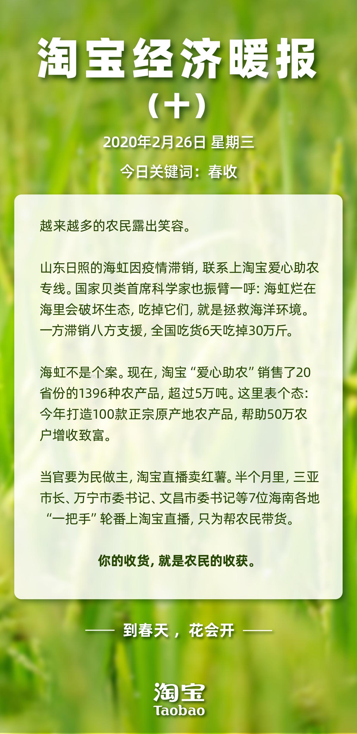 疫情下山东日照海虹滞销，淘宝紧急出手打响生态保卫战