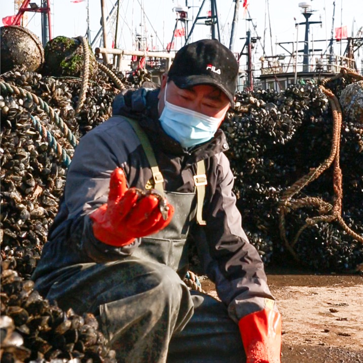 淘宝助农日照海虹滞销销售_今年滞销的农产品_淘宝爱心助农计划滞销海虹销售