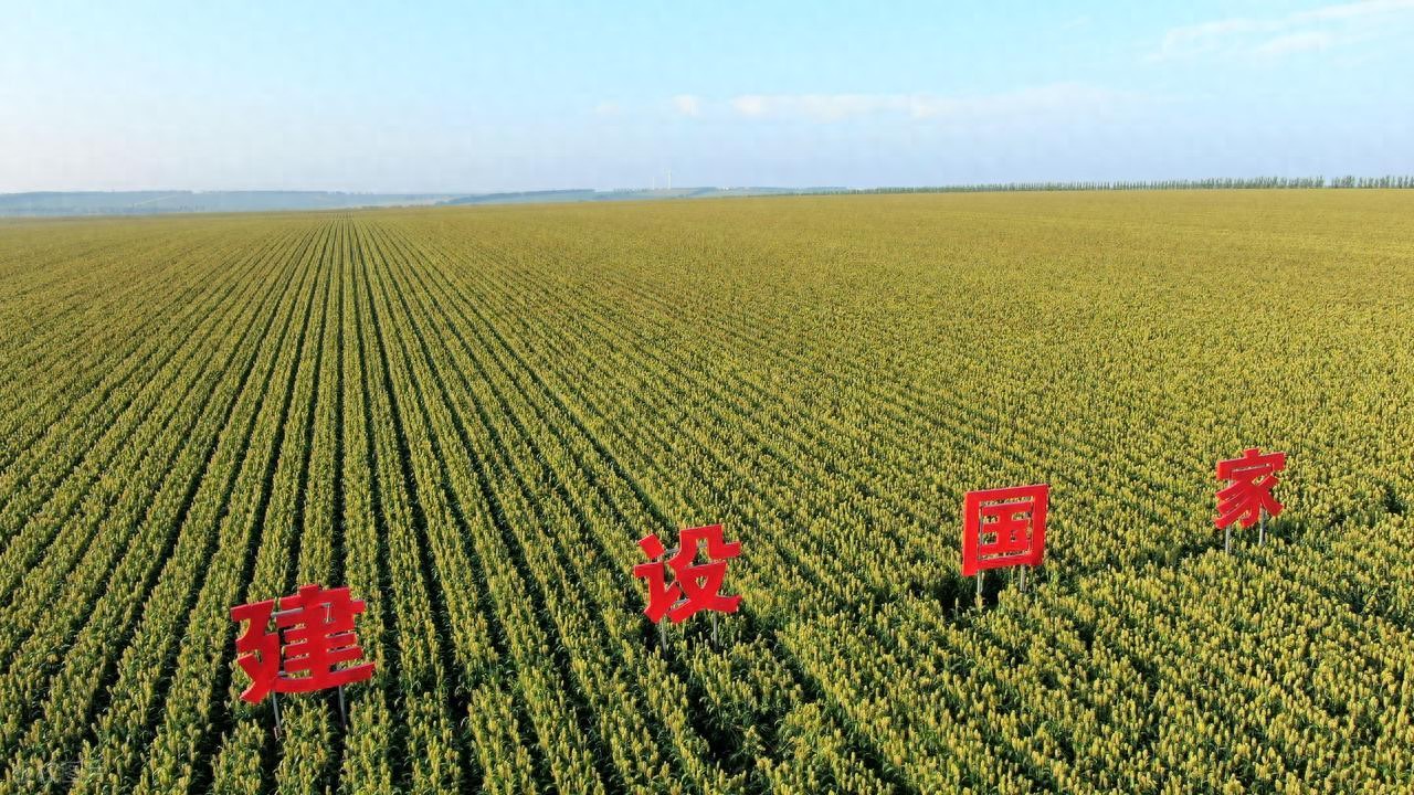 定制农业咋玩？认养一块田，从种植到收获全掌握