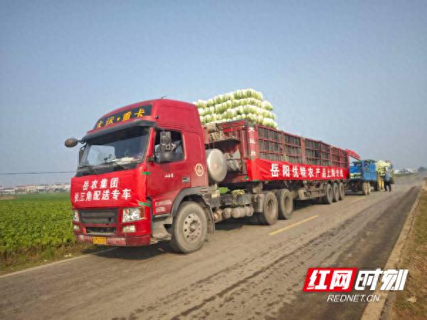 岳农集团创新农产品营销渠道，跨区域调运缓解上市压力