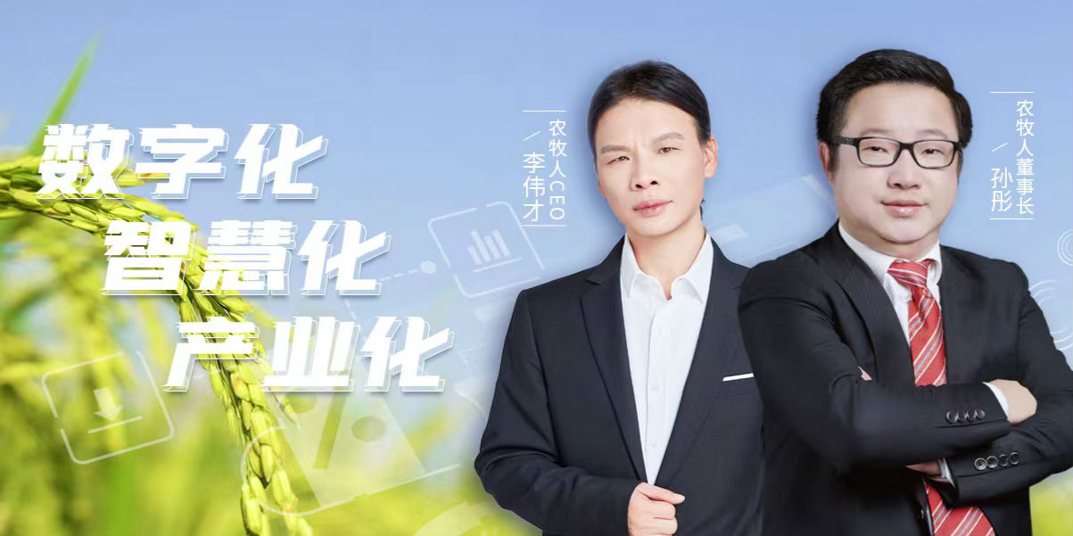 数字供应链如何突破粮食与死亡的局面？农牧民给行业开出新药方