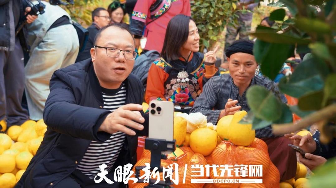 高素质农民培育农村电商数字化应用培训班_农产品电商销售模式_松桃电商培训直播带货技能