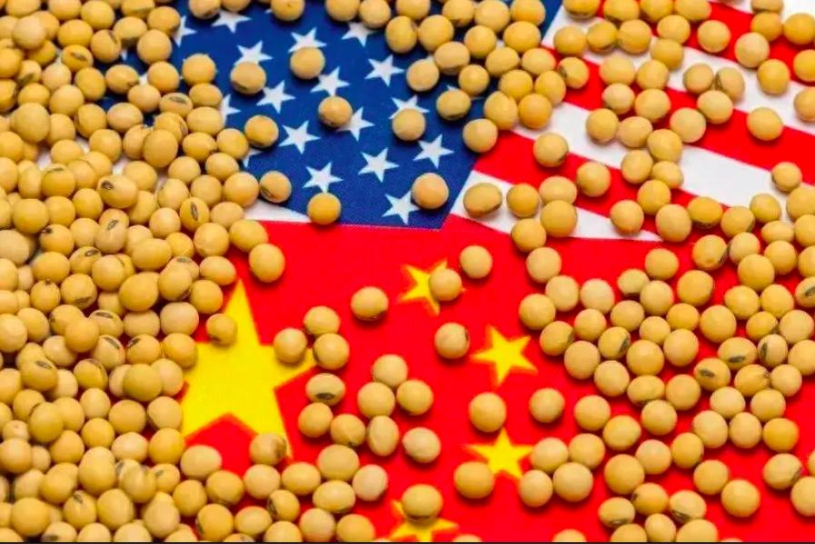 中美大豆贸易履约_中国购买美国大豆700万吨_美国农产品贸易