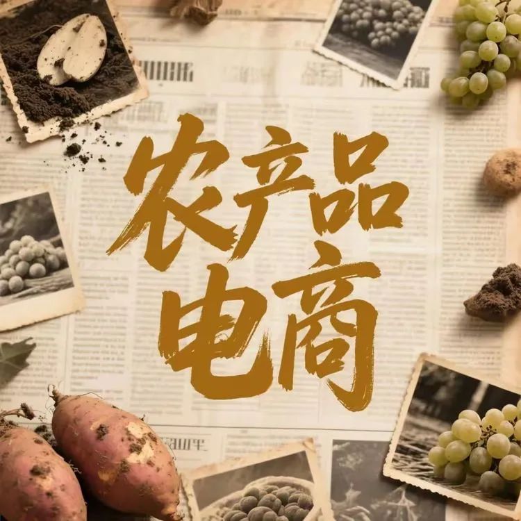 农产品电商运营策略_农产品电商特色_农产品电商标准化与物流优化